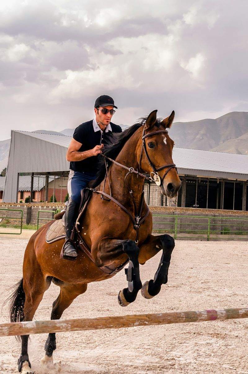 馬歩きサポート東京 11